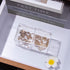 Yeeco Clear Acrylic Capsule Holder with Lid 2 Section Plastic Drawer Box Organizer for Jewelry, Candy, Makeup