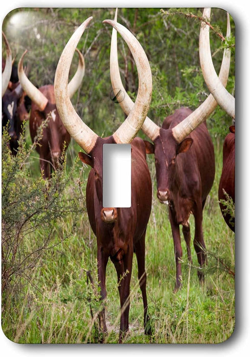 3dRose lsp_188842_1 watusi Cattle, Mbarara, Ankole, Uganda Toggle Switch by 3dRose