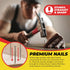 Top Quality Nail Assortment Kit - Over 1800 Multipurpose Hardware Nails in 11 Sizes - Non Bendable & Sturdy Box