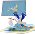 Diese-Klappkarten Congratulations Card for Birth Boy | Greetings Card Birth with Pop Up