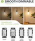 LED Light Bulb, 25W Equivalent, Soft Warm White 2700K, 3 Pack, E26 Base, 2W, Dimmable, T45, 200 Lumen