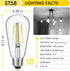 Gozelux Bulbs, 60W ST19, 6W E26 Bulbs, 750 5000K Pack 4 LED Edison Equivalent Efficient LED, Medium Base Light High