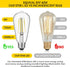 Gozelux Bulbs, 60W ST19, 6W E26 Bulbs, 750 5000K Pack 4 LED Edison Equivalent Efficient LED, Medium Base Light High