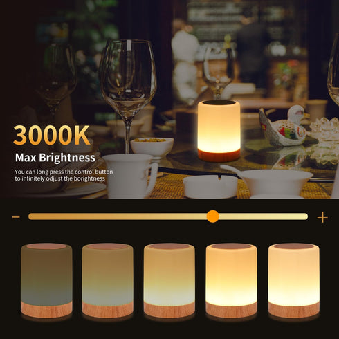 Touch Bedside Table Lamp, 13 RGB Colors & 5 Brightness Levels, USB Rechargeable Night Light with Remote Control for