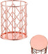 Rose Gold Pencil Cup, Wire Metal Mesh Pen Holder, Makeup Brush Organizer, 1PC for Office Home School
