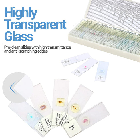 60 Microscope Slides with Specimens for Kids - Prepared Microscope Slides for Microbiology