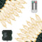 Green Convenience Christmas Lights 66ft 200 LED Battery Operated String Lights with