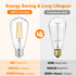 WIHTU LED Filament Light Bulbs, Bright Vintage 6W LED Edison Bulbs, 60W Equivalent, ST58 2700K Warm Light, E26 Standard