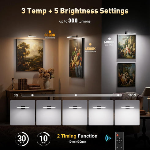 2 Pack Dimmable NARUNDREN Picture Lights for Wall, Rechargeable LED Picture Light Battery Operated with Remote, Poster