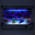30 Fake Fish Tank Lamp Mini Decorative Tropical Fish Artificial Aquarium Night Light with Moving Fish for Kids Baby