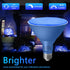 Gonhom 2 Pack PAR38 Bulbs, Dimmable, 20W, E26 1800 Blue Led Light Base, Outdoor Indoor, Christmas Lighting, LM, Long