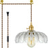 Plug-in Pendant Light Fixture, Hanging Light Fixture, Glass Pendant Light, Swag Lamp