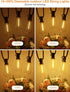 30ft 16 Dimmable ST38 Bulbs, 2700k Commercial GPATIO Waterproof Patio Lights with Hanging Lights Globe Shatterproof