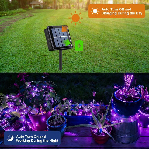 2 Pack 66ft 200 8 QITONG Solar Fairy Lights Outdoor Waterproof, Each LED Purple Christmas String Lights, Silver Wire
