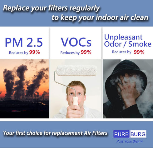 LM2 ON-D81 LM1 Kit,4 8 PUREBURG Replacement Filter Compatible with Oneisall & Afloia Homeika Pet Grooming HEPA + Sponge