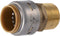 SharkBite Max 3/4 Inch MNPT Adapter, Push to Connect Brass Plumbing Fitting for PEX Pipe