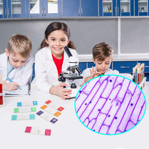 35PCS Prepared Microscope Slides with 7 Types Specimens, Insect/Plant Glass Sample for Kids Adults