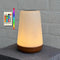 GlowLite 1 - LED Night Light with Remote, 13-Color Changing Ambiance Light