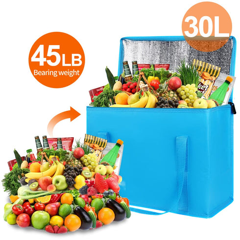 4-Pack Frozen, Bodaon Cooler Insulated Food Delivery Bag, X-Large Bags for Grocery/Catering/Shopping, Rideshare