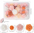 Push Pins 24 Pcs, Decorative Thumb Tacks for Cork Board, Office Organization, Home