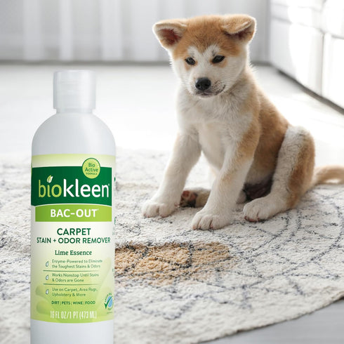 Biokleen Bac-Out Enzymatic Stain & Odor Remover 2 Pack - 32 oz Carpet Cleaner with Micro Cleaning Towel Included