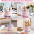 Sparkling Diamond-like Desk Organizer, 360° Rotating Pen Holder with 5 Compartments for Office, School, Home (Pink)