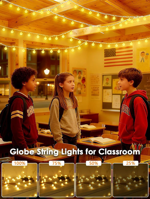 200LED 66ft 8 Connectable Globe String Lights Indoor Outdoor for Bedroom, Warm White Fairy Light Plug in with Remote