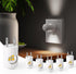 SETEN 6 Pack Mini LED Night Light Plug in Wall - Dusk to