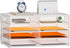 Marbrasse 4 Tier White Desktop Literature Organizer - Mesh Paper Organizer Desk Organizers for Office, Home, School