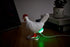 ChickenSoNice 16 Chicken Egg lamp, Colors Change Chicken lamp with Remote Control, Resin Chicken Egg Night Light