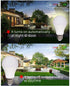 Dusk to Dawn LED Outdoor Light Bulb, 7W Daylight White, Auto on/Off Photocell Sensor, 60 Watt Equivalent, 3-Pack