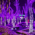 66ft 200 8 HOME LIGHTING Halloween Decorative Mini Lights, LED Green Wire Fairy Starry String Lights Plug in, Lighting