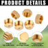 6 Pcs Brass Blanking Nut Cap, 3/4" Female Stop Cap with Washers for Plumbing Fittings