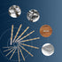 Lichamp Left Hand Drill Bit Set, 13-Piece Genuine M2 HSS Twist Reverse Bits, Sizes from 1/16 to 1/4 inches
