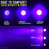 V2 385-395nm Commercial/Domestic uvBeast - Black Light UV Flashlight with HIGH Definition with Flood Effect UV Best