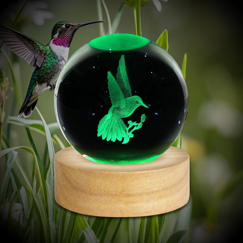 PYMIN3D 3D Hummingbird 2.4in Hummingbird 16 Hummingbird Hummingbird Crystal Ball Night Light Figurines Decor Table Lamp