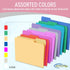 Pink File Folders, 1/3-Cut Tabs, Letter Size, 12-Pack, Durable Office Filing Folders for Documents and Papers