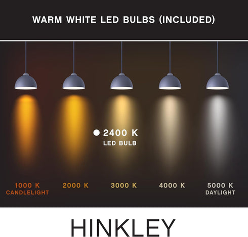 G16 E12 Bulb Hinkley Lumiglo Led Globe Clear