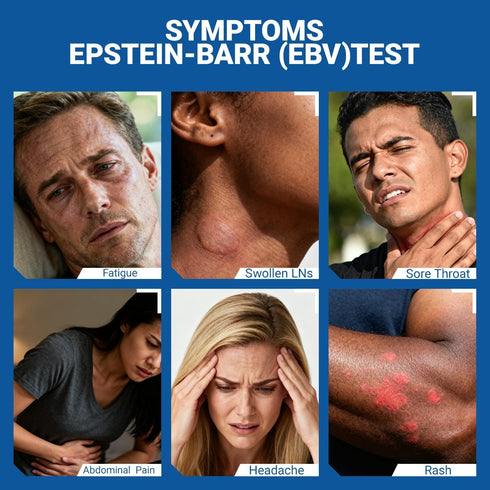 BLENSTCS at-Home Epstein-Barr (EBV) Test Kit Finger-Prick Sample, No Lab Visit Needed Detects IgG Response to VCA