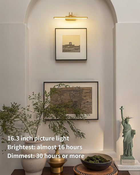 5200mAh Dimmable 16.3 inch, KDG LED Cordless Wall Picture Light with Remote, Rechargeable Art Lighting, Adjustable