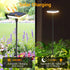 Ainostone 4 Pack 31" 34LM 12H IP65 Solar Lights Outdoor Garden Solar Pathway Light Tall Solar Landscape Lights Bright