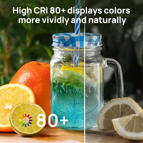 A19 Bulbs Dimmable,60W Equivalent,5000K White,9W 800 Lumens,E26 Office,5 Packs Consciot LED Light Daylight Standard