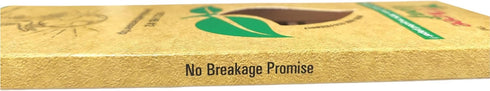 three leaf Recycled Paper Pencils, Pack of 10, Eco-Friendly, Non-Toxic Wood Free Pencil with Latex Free Eraser