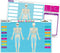 Teacher Created Resources Human Skeleton Learning Mat (TCR21028)