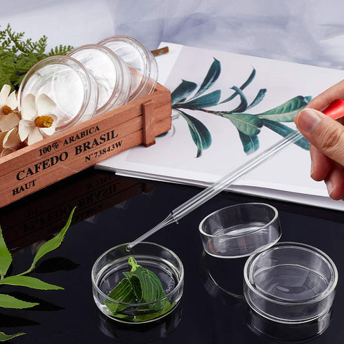 OLYCRAFT 6PCS High Borosilicate Glass Petri Dishes with Lid, 60mm Dia x 18mm Deep, 2pcs Glass Culture Plate