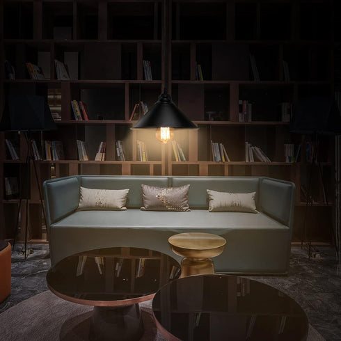 LYOOWNG Plug in Pendant Light, Industrial Hanging Light with Plugin Cord On/Off Switch, Farmhouse Pendant Lights