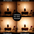 Dimmable E26 Bulb G16.5 Bulb 6W 60 Bulb AC120V 2700K E26 Bulb Bulbs 60 600lm 6Pack LiteHistory Edison Light Equal watt
