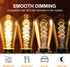 Decoaui ST64 E26 Bulbs, Dimmable, 4W(40W 300 2500K 25000 1-Pack LED Vintage Edison Light Light Amber Glass, Equivalent)