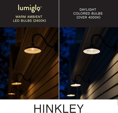 G16 E12 Bulb Hinkley Lumiglo Led Globe Clear