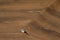 d-c-fix Peel and Stick Contact Paper, Flagstaff Oak Wood Grain Self-Adhesive Film for Kitchen, Countertops, Cabinets,
